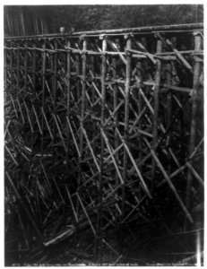 Logging in Cascade Mtns.- piles 132 feet long used in the trestle - height 107 feet to top of rails LCCN2004680476