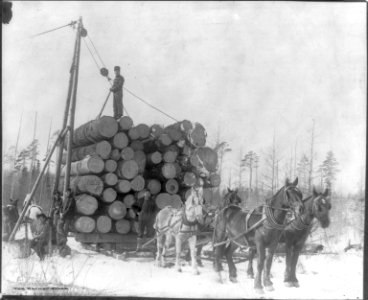 Logging in Minnesota LCCN2012647887