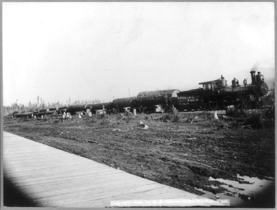 Logging train (in the Cascade Mountains, near Seattle, Wash.) LCCN2004665699