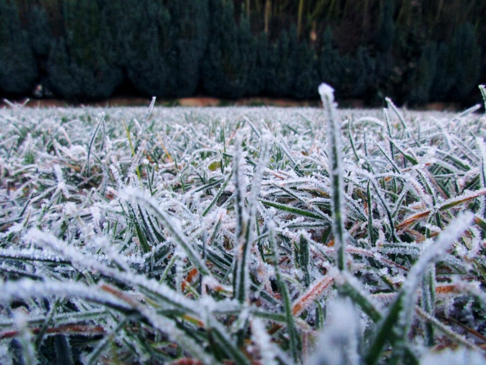 Cold winter magic snow