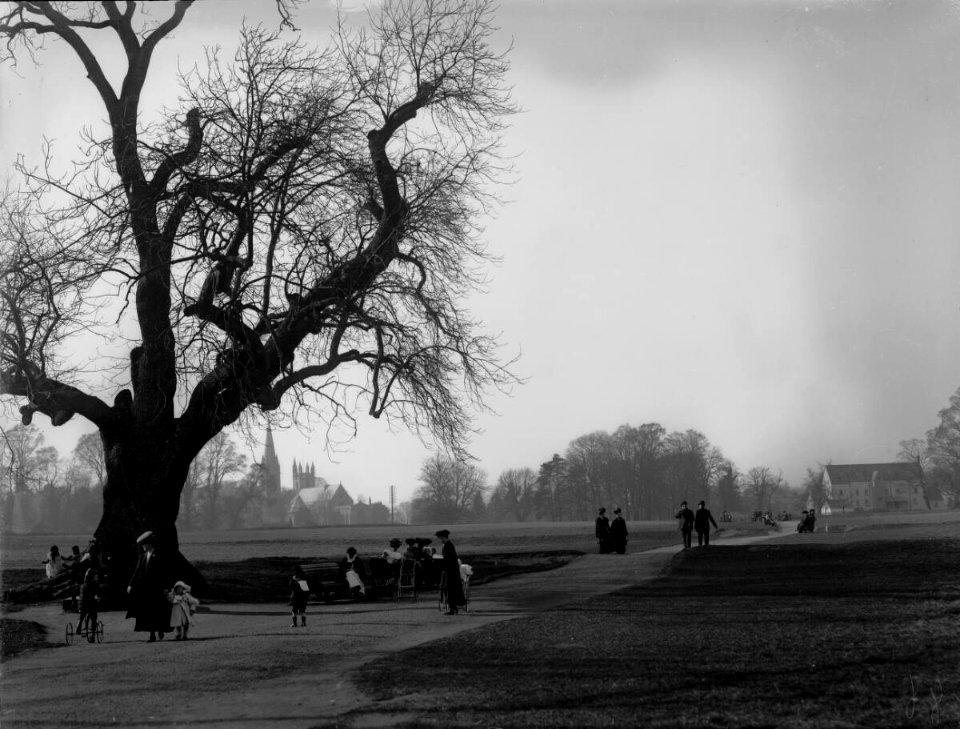 Llandaff Fields looking to Cardiff (4641624)