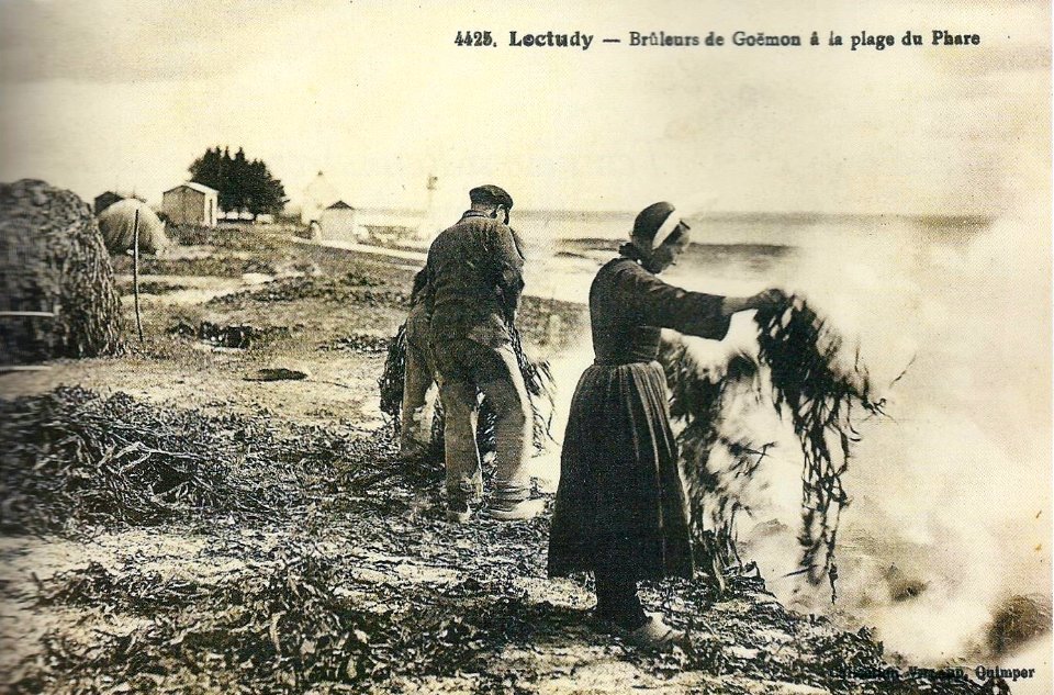 Loctudy Brûlage de goémon à la pointe du phare
