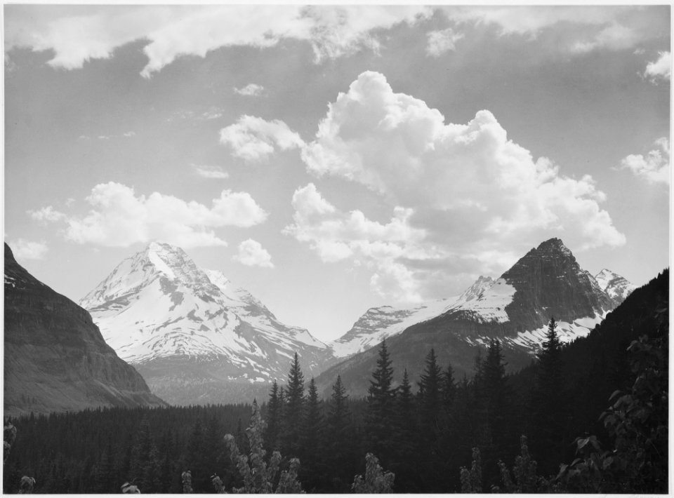 Looking across forest to mountains and clouds, In Glacier National Park, Montana., 1933 - 1942 - NARA - 519863