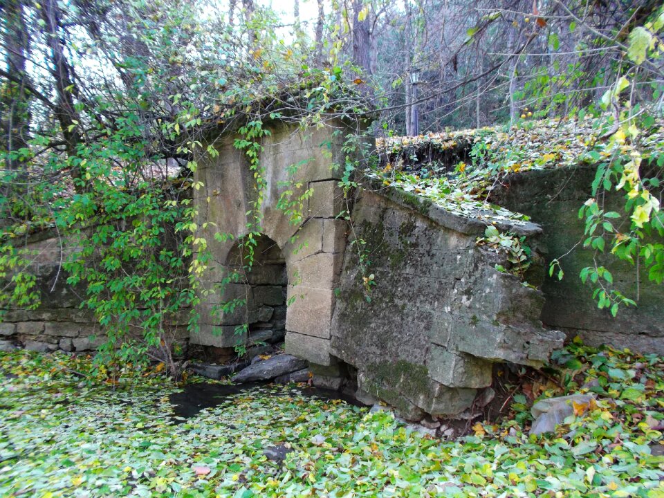 Viaduct autumn nature
