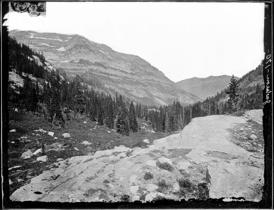 Looking down Teton Canyon. Lincoln County, Wyoming - NARA - 516779