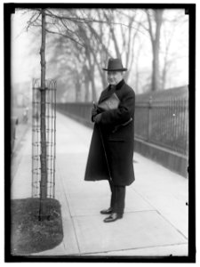 LONERGAN, AUGUSTINE. REP. FROM CONNECTICUT, 1913-1915, 1917-1921 LCCN2016866123