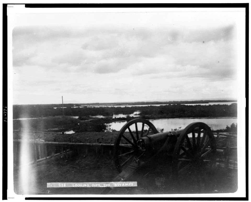 Looking over the swamps LCCN98507047