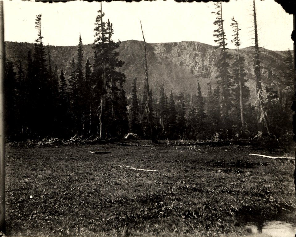 Looking south from camp at Island Lake. 1904
