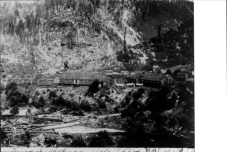 Logging Camp II