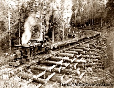 Logging locomotives steaming over log railroad bridge