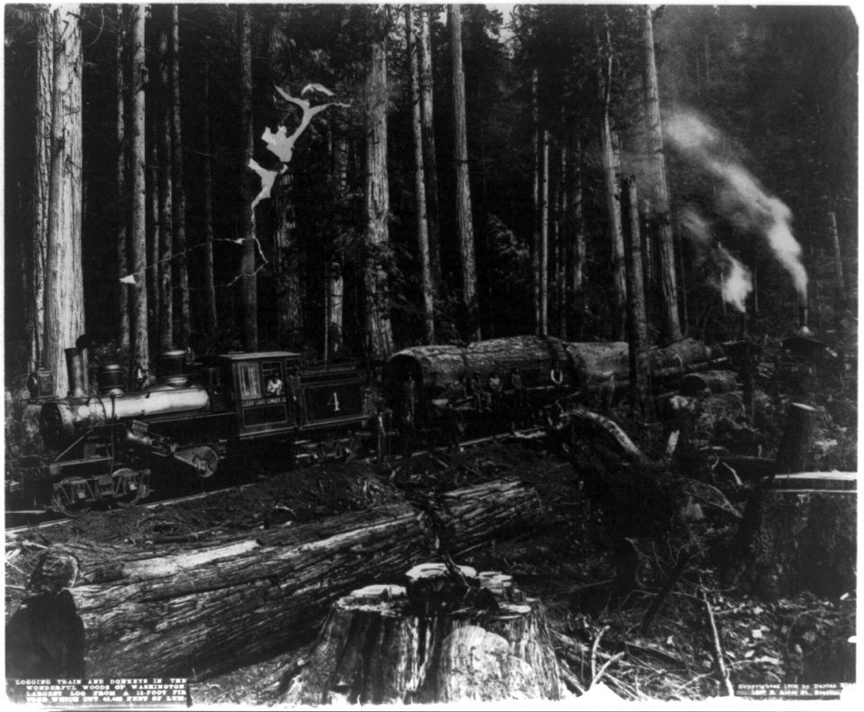 Logging train and donkeys in the wonderful woods of Washington LCCN2002711753