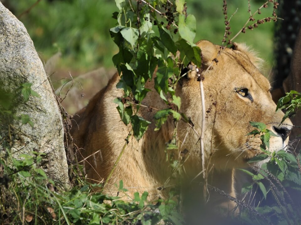 Zoo hollabrunn munich