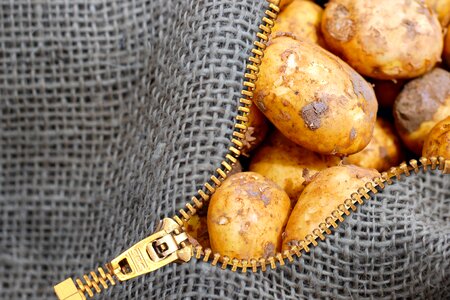 Zip food agriculture