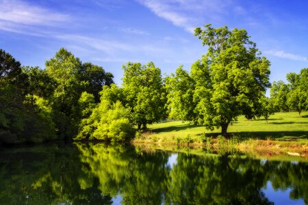 Still water reflections shore