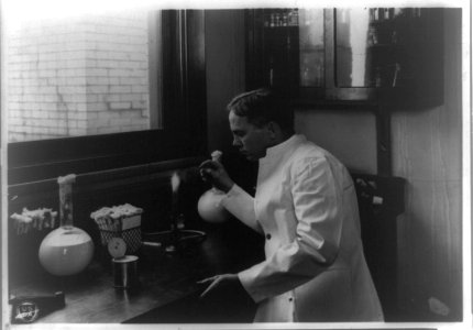 Lore Alford Rogers, bacteriologist, working in laboratory at the Department of Agriculture LCCN93511665
