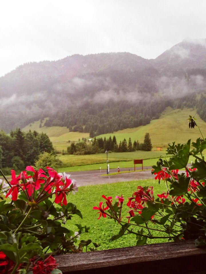 Alps living nature mountains
