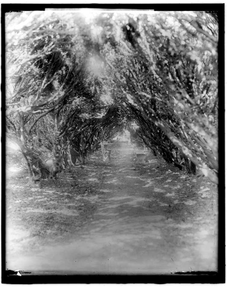 LONG, BRECKENRIDGE, MRS. LCCN2016859544