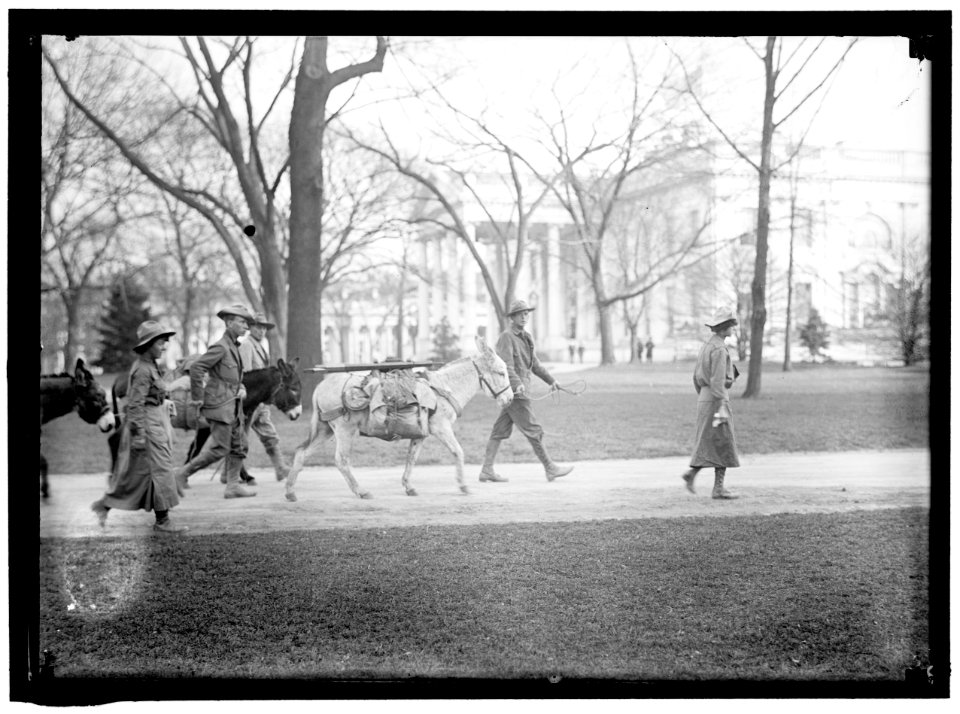LOS ANGELES HIKERS WHO BROUGHT WHITE PLAGUE CURE TO PRESIDENT WILSON. AT WHITE HOUSE LCCN2016865108