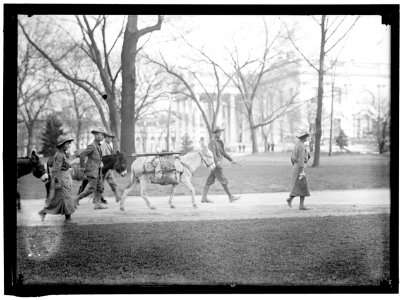 LOS ANGELES HIKERS WHO BROUGHT WHITE PLAGUE CURE TO PRESIDENT WILSON. AT WHITE HOUSE LCCN2016865108