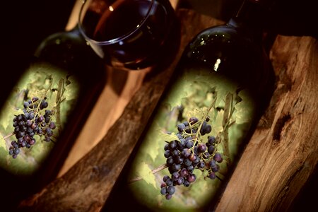 Wine bottles drink wine glass photo