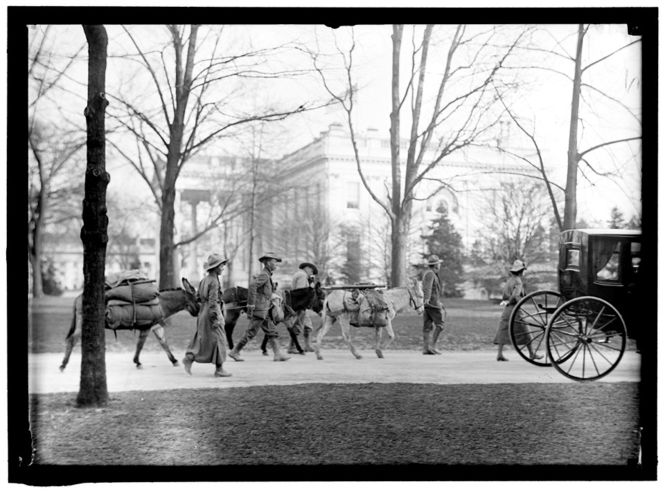 LOS ANGELES HIKERS WHO BROUGHT WHITE PLAGUE CURE TO PRESIDENT WILSON. AT WHITE HOUSE LCCN2016865109