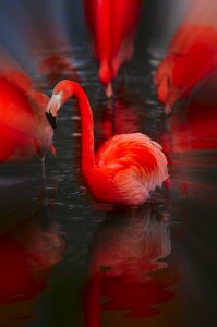 Zoo hellabrunn munich