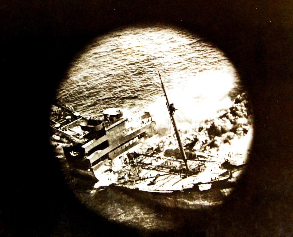 Lot 11559-19 (24724100116)