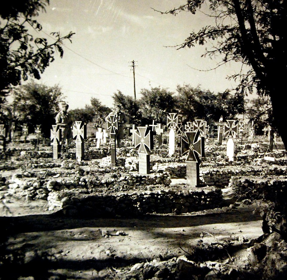 Lot 11592-11 (23771673784)