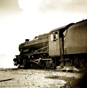 Lot 11603-9 (25042334191)