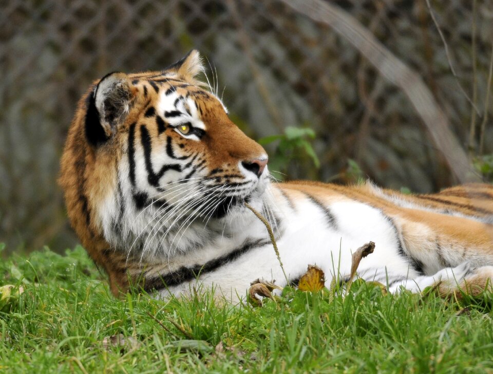 Zoo hellabrunn munich