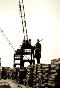 Lot 11604-12 (24367012434)