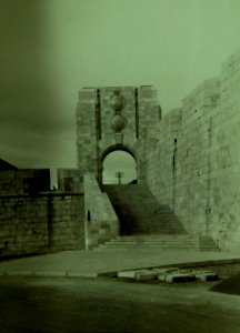 Lot 6591-36 (21884633869)