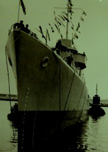 Lot 9431-13 (21915384265)