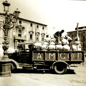 Lot 11637-12 (24193995859)