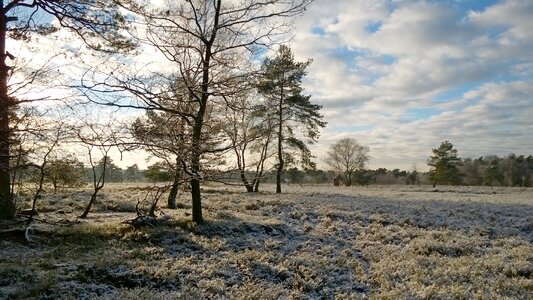 Snow landscape wintry photo