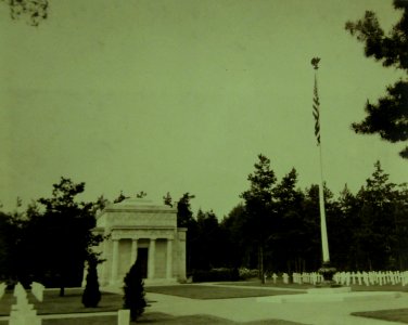 Lot 6591-17 (22060490325)