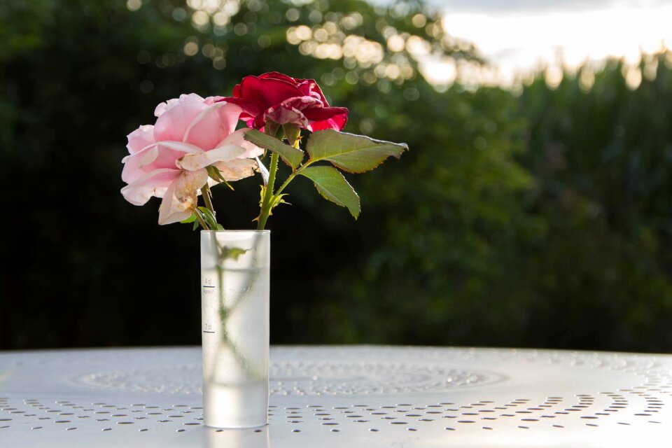 Nature bouquet floral composition