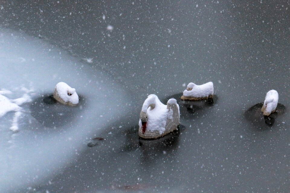 Cold ice nature