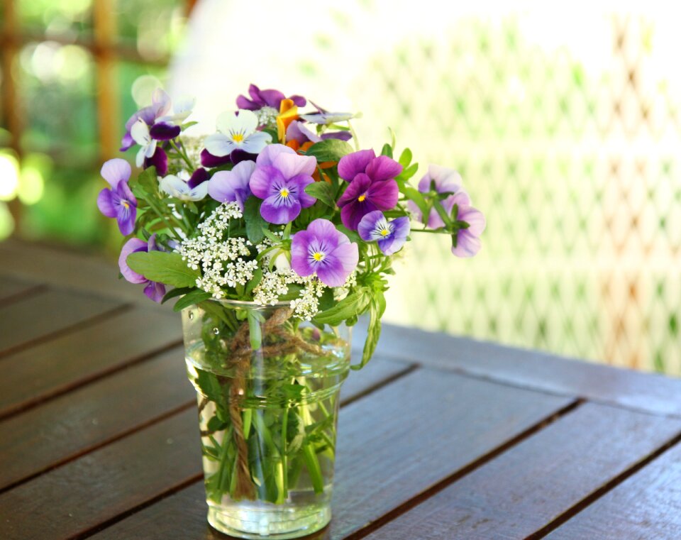 Summer garden blooming violets