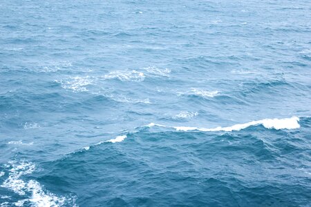 Dover nature ocean