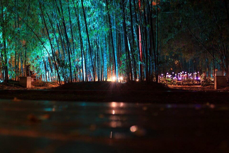 Light lights lighting