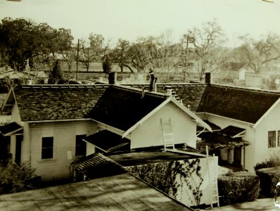 Lot-9425-13 (22600363409)