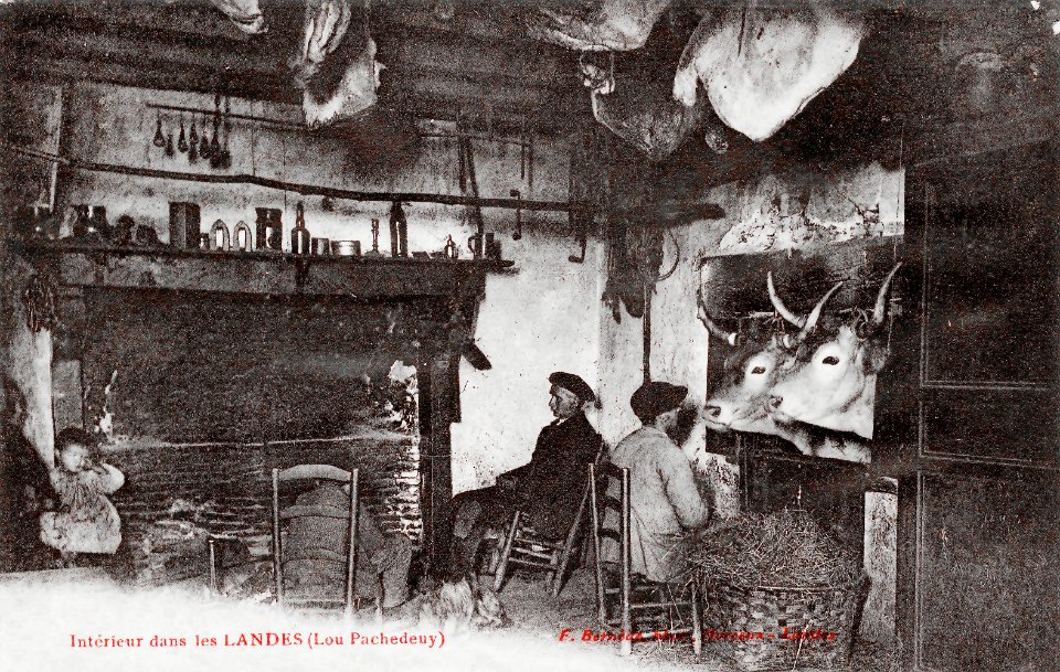 Lou pachedeuy Intérieur landais
