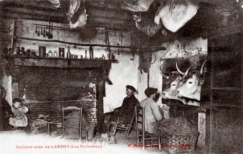 Lou pachedeuy Intérieur landais