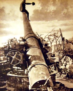 Lot-7676-5-11 WWI, German Activities. Translated from German “The battle between the Aisne and Marne A captured completely intact Ries protection..” Courtesy of the Library of Congress. (2016 09 02). (29506729916)