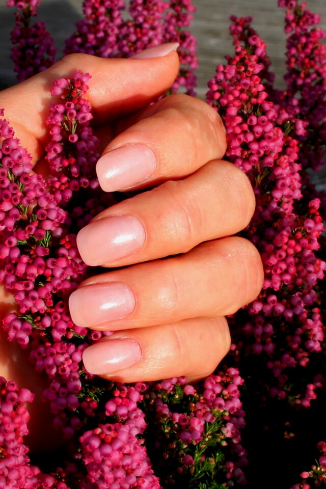 Manicure nail design nail varnish