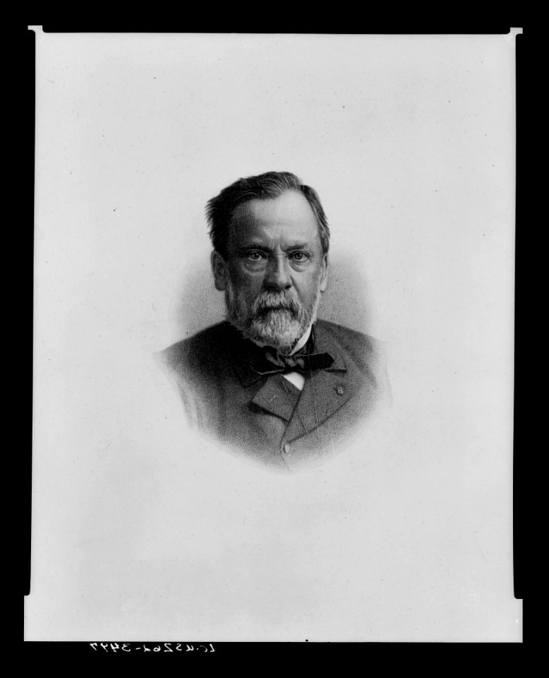 Louis Pasteur LCCN2004672055