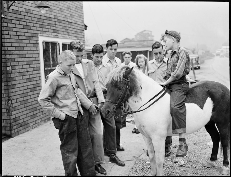 Louis Sergent, second from left, and a group of his high school friends admire a pony. Lejunior, Harlan County... - NARA - 541380