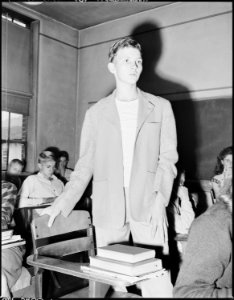 Louis Sergent, 16, who is in the freshmen class at the Evarts High School. With the exception of his blind sister... - NARA - 541372