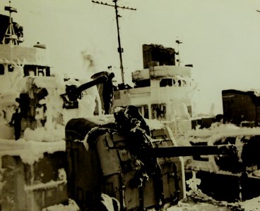 Lot-9425-18 (22371729113)